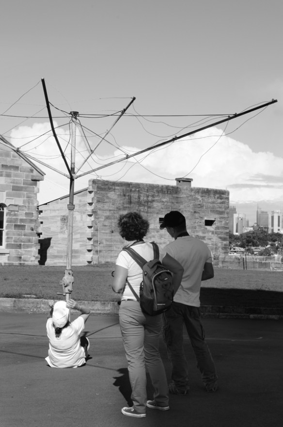 Cockatoo_March 8_2014 175