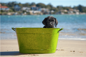 Screen Shot 2016-06-07 at 5.05.02 PM